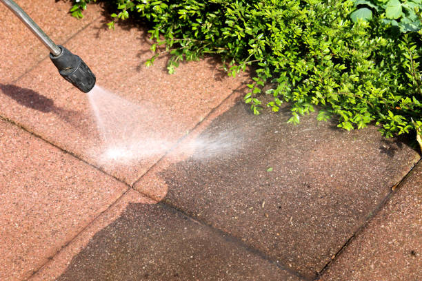 Best Roof Pressure Washing  in Danielson, CT